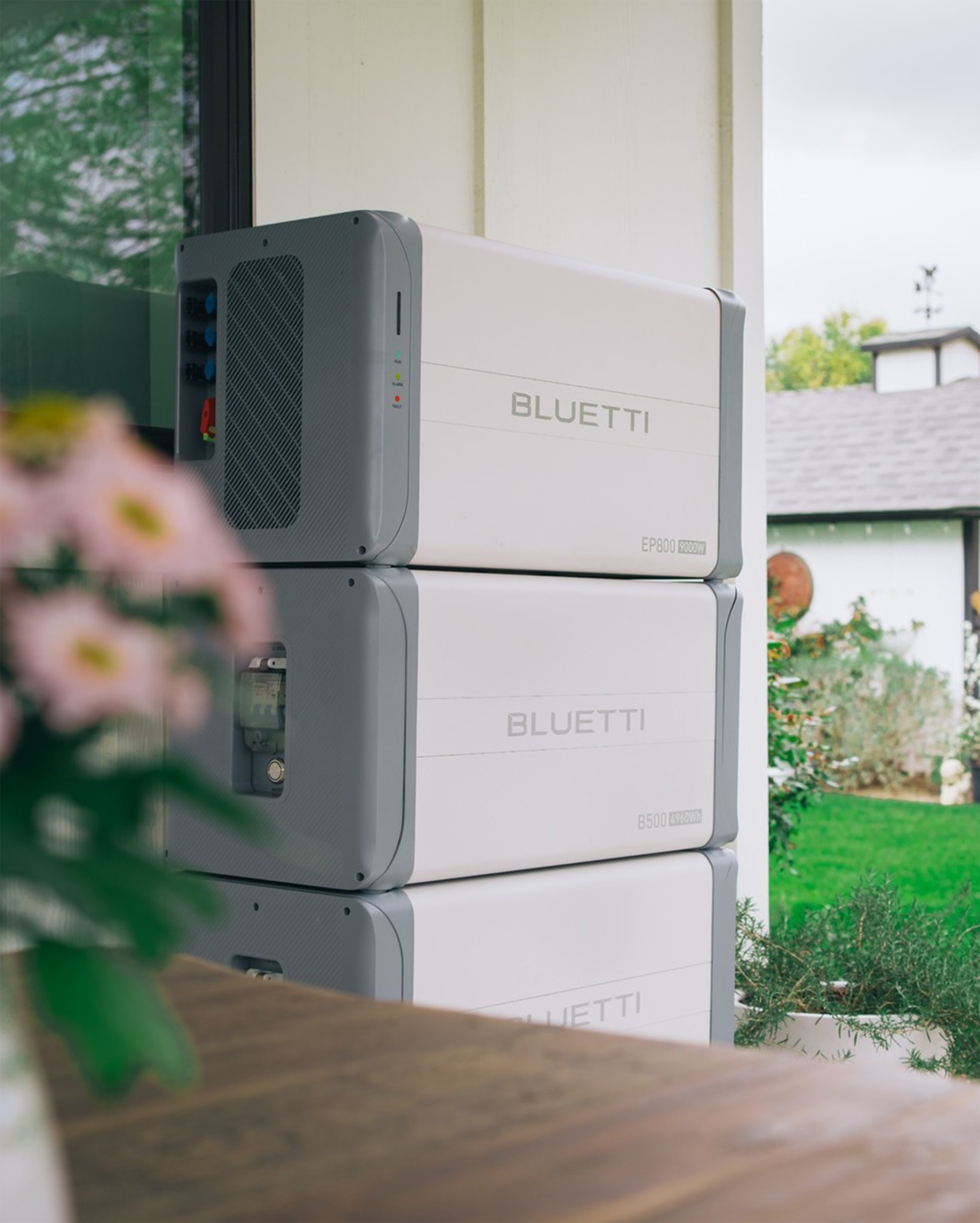 355115678 569125205415460 2129228126529172403 n